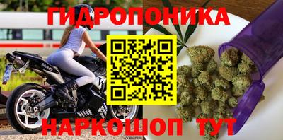 СК Пыть-Ях