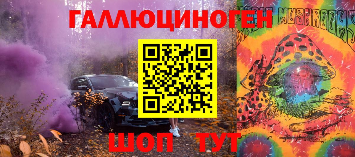 как найти   Галлюциногенные грибы GOLDEN TEACHER  Вход с VPN  Отрадное 