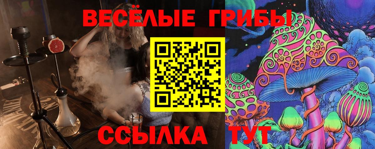 Галлюциногенные грибы Psilocybe Отрадное